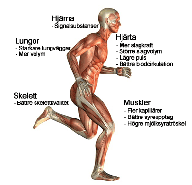 konditionsträning.gym.stora.essingen.springa.kcardiovascular